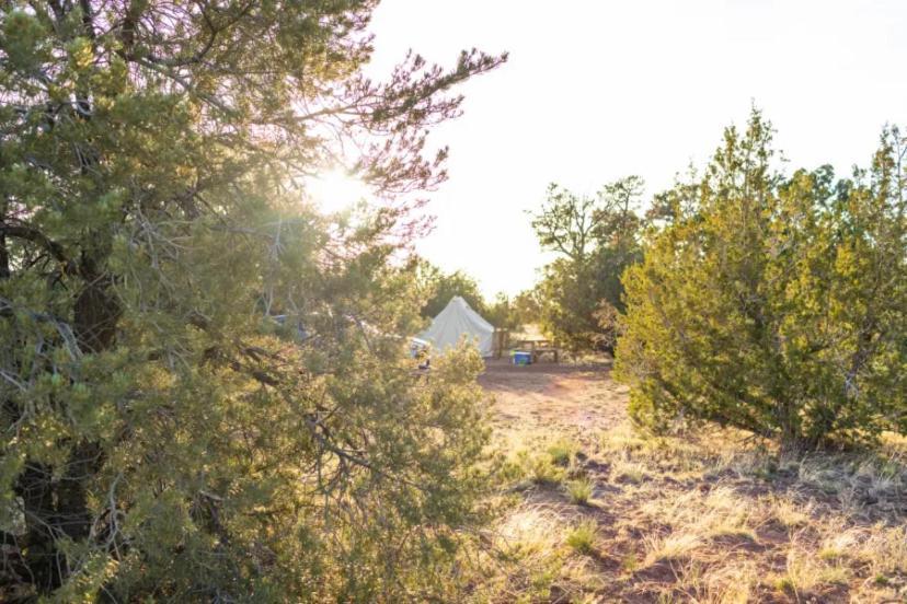 The Kaya Glamping Tent By The Grand Canyon Valle Dış mekan fotoğraf